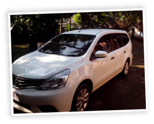 livina 2