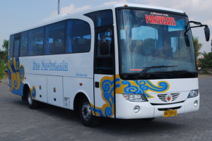 tranjaya2