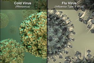 cold_and_flu_virus_composite