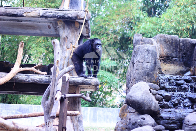 kebun binatang gembira loka